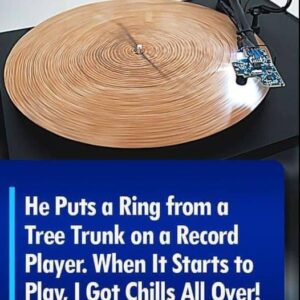 He Puts a Ring from a Tree Trunk on a Record Player. This Is the Most Extraordinary Sound of Nature I Have Ever Heard