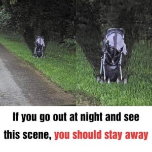 Woman Issues Frightening WARNING After Finding a Stroller Abandoned on the Side of The Road Woman Issues Frightening WARNING After Finding a Stroller Abandoned on the Side of The Road
