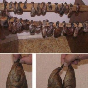 You might have consumed this beaver sac excretion without knowing You might have consumed this beaver sac excretion without knowing
